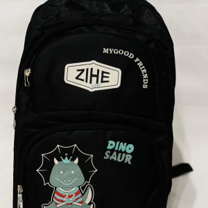 chool Bags for College & University #234y