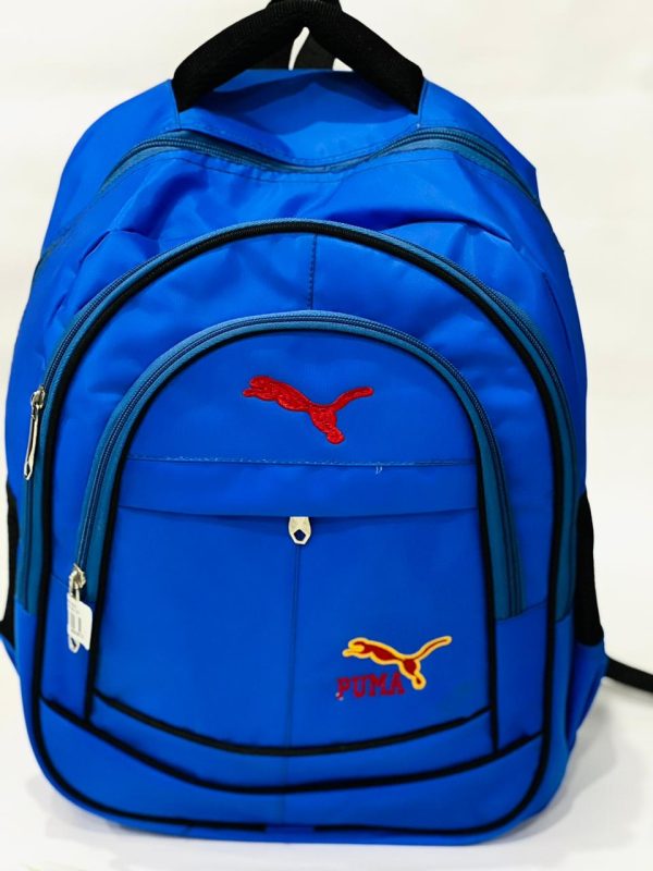 school and college bags for boys and girls #234y