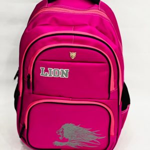 Girls and Boys School Bag Backpack For Boys #234y