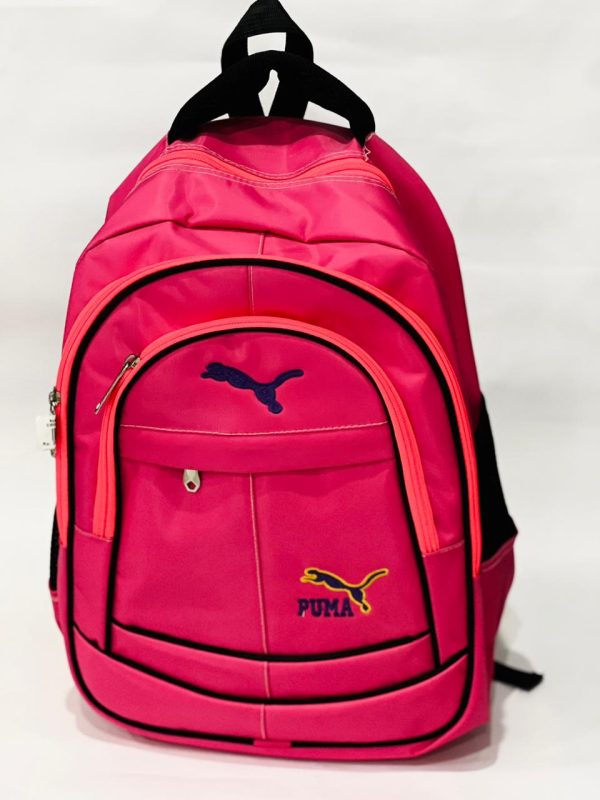 school and college bags for boys and girls #234y