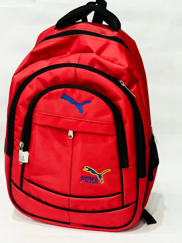 school and college bags for boys and girls #234y